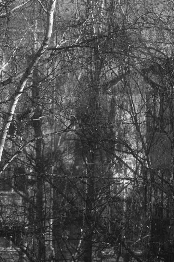 Photograph by Сергей Рябов