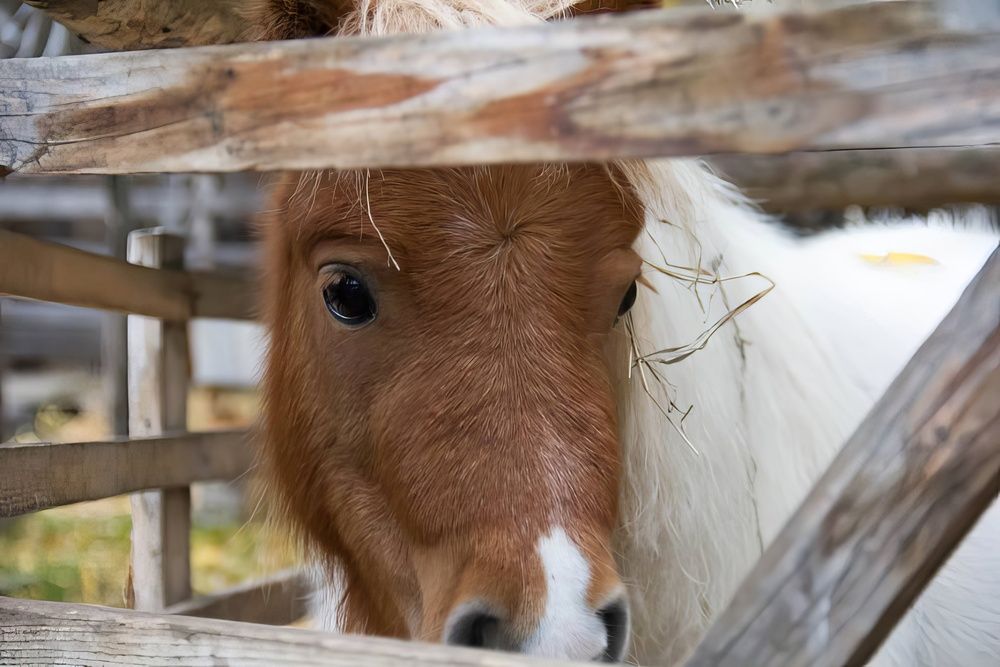 Фотография автора Вадим Басов