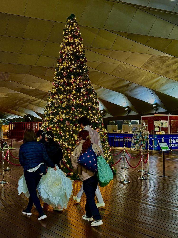 Фотография автора Алла Киселева