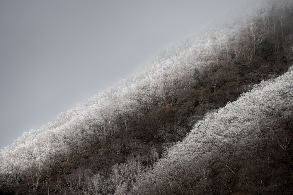 Photograph by Iwamoto Reina