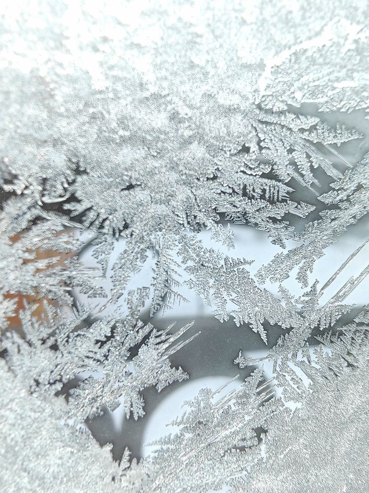 Фотография автора Алёна С-К