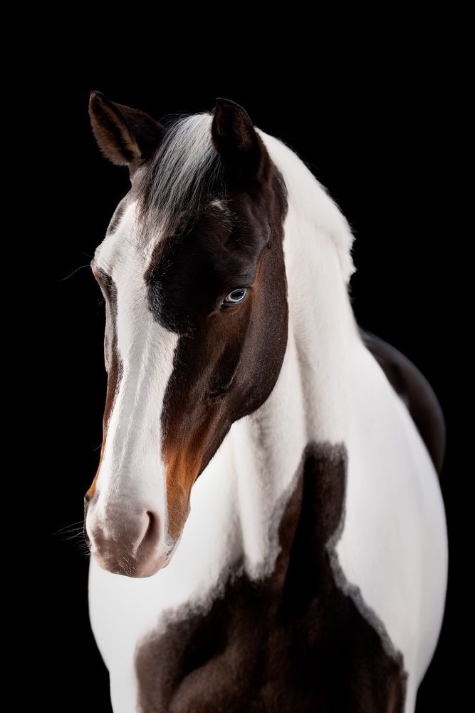 Photograph by Lenka Šilhová