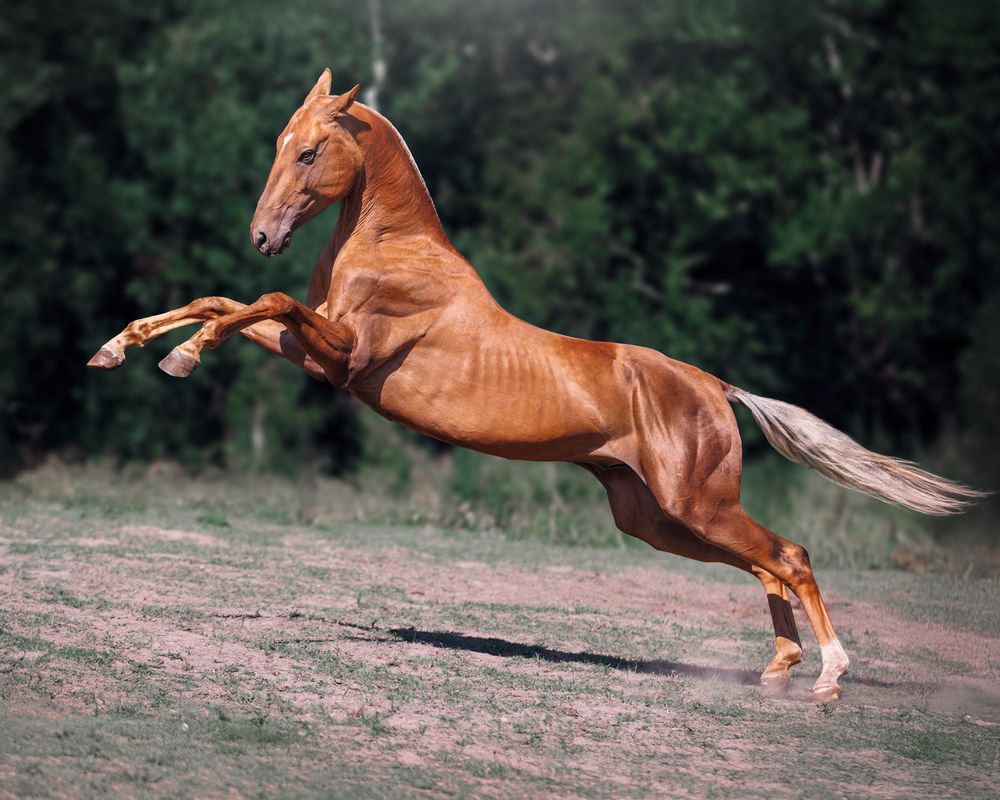 Photograph by Яна Орлова