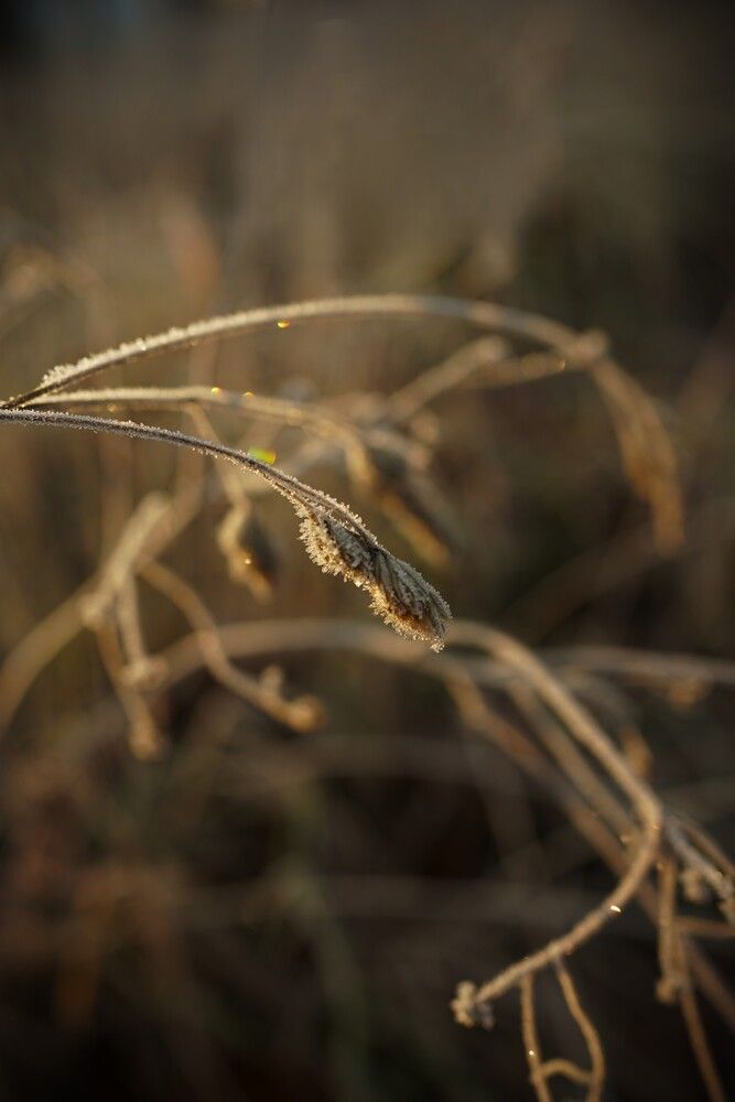Фотография автора Наталья Осипчук