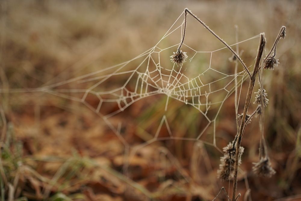 Фотография автора Наталья Осипчук