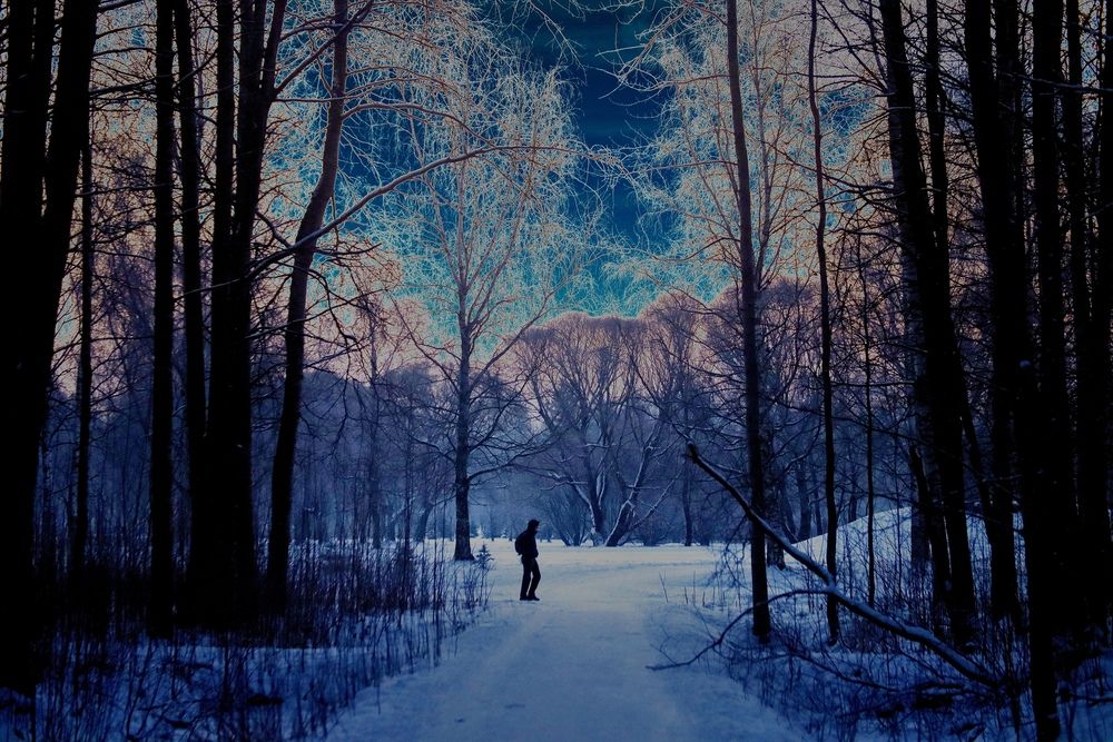 Фотография автора Яна Егорова