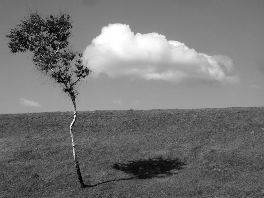 Photograph by Екатерина Тонина
