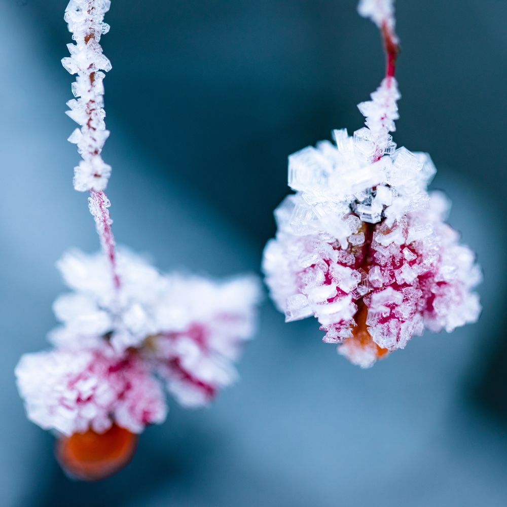 Фотография автора Boris Konovalov