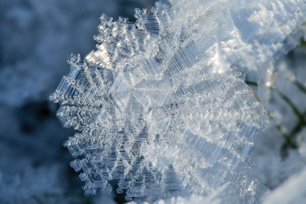 Photograph by Boris Konovalov