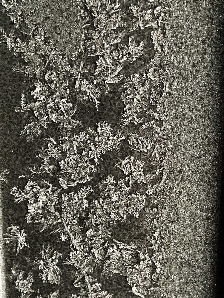 Photograph by Елизавета Станкевич