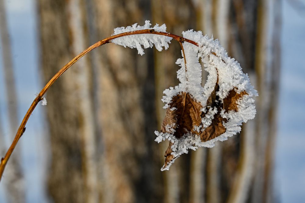 Photograph by Николай Куницкий