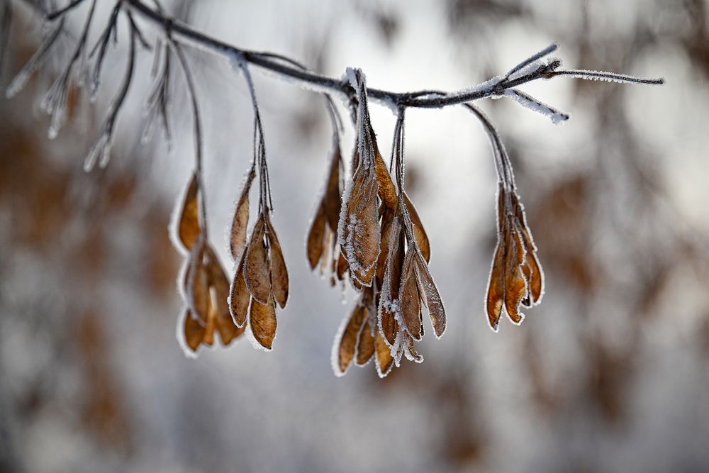 Photograph by Николай Куницкий