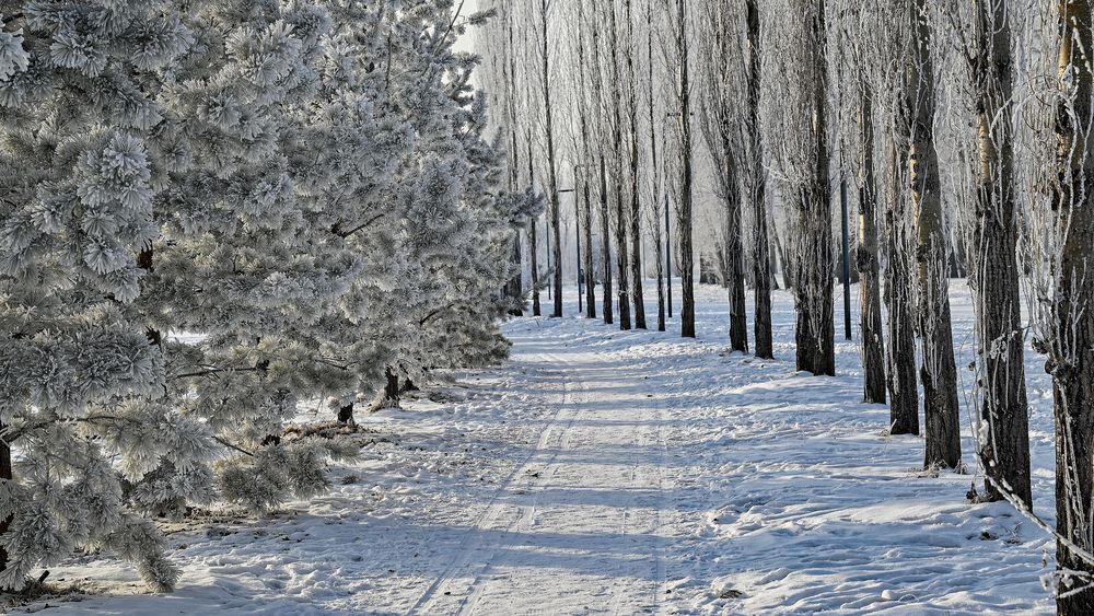 Photograph by Николай Куницкий