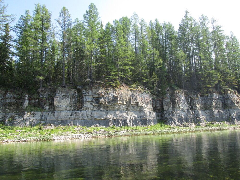 Photo #13029109
