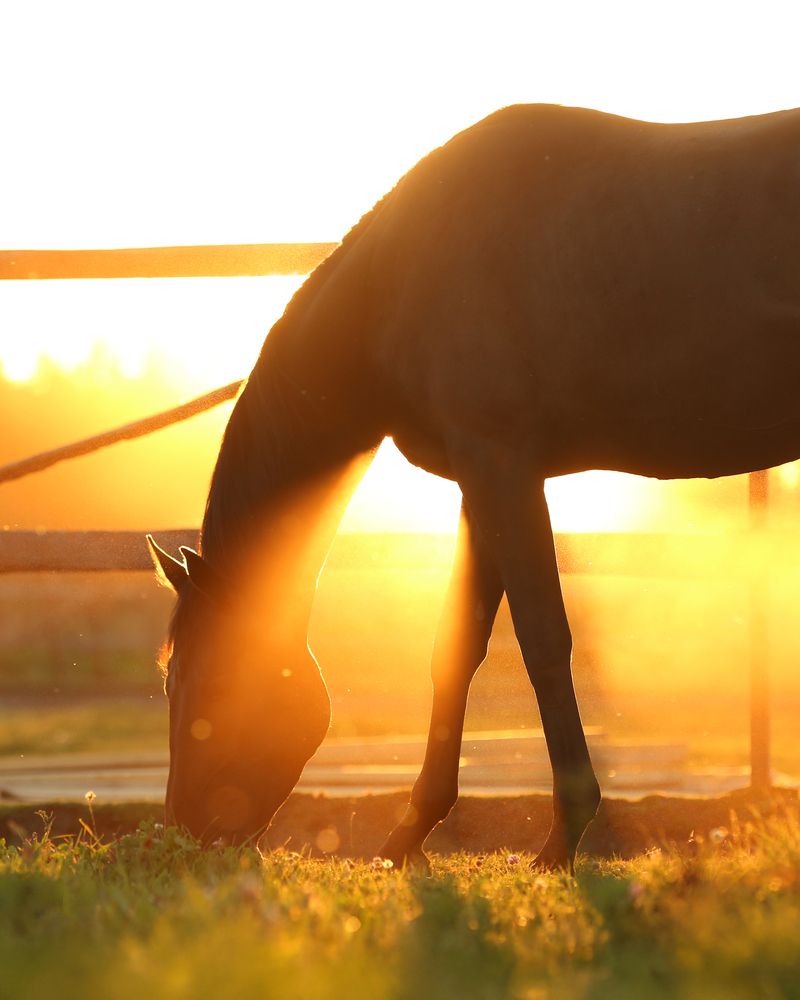 Photograph by Яна Орлова