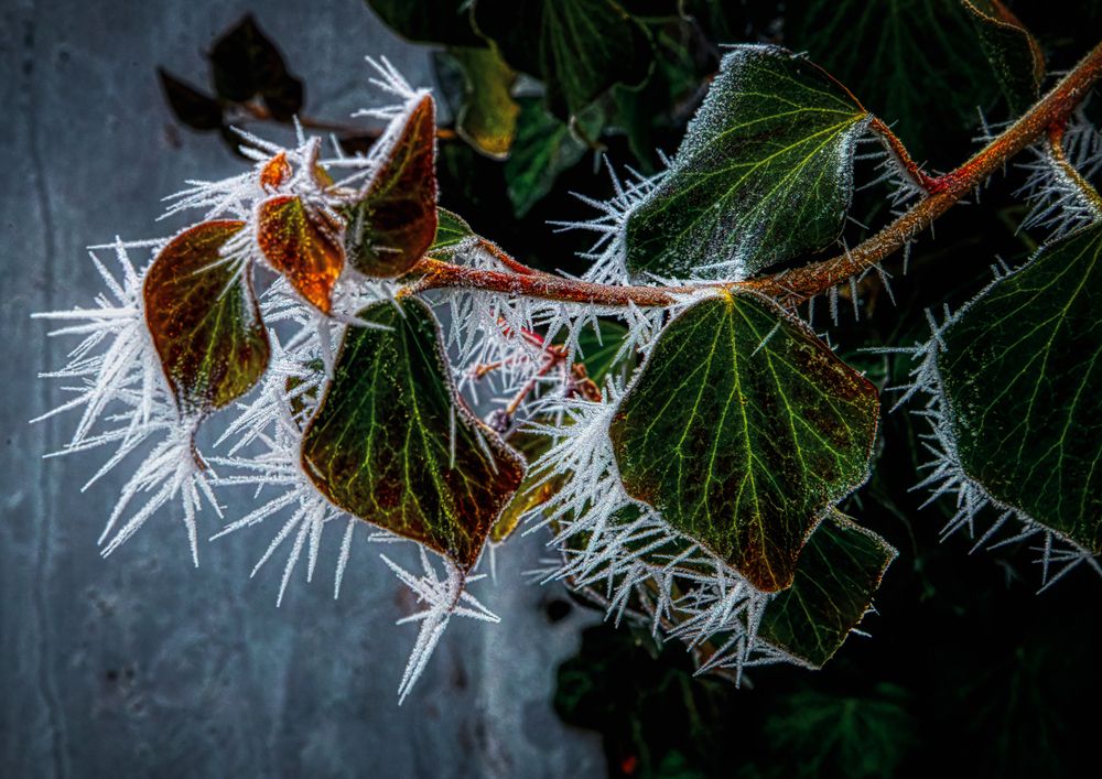 Photograph by Владимир Кваша
