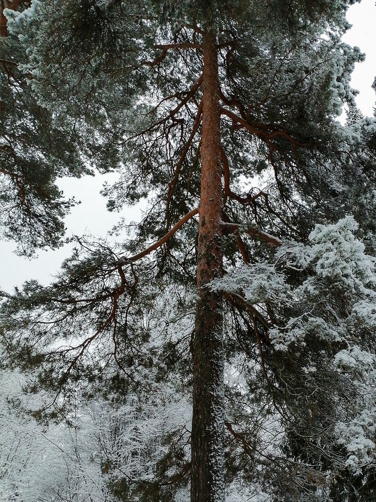 Photograph by Ксения Мельникова