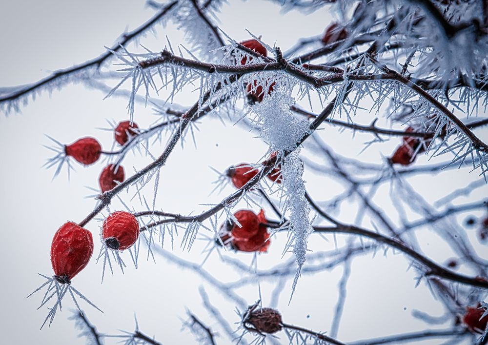 Photograph by Владимир Кваша