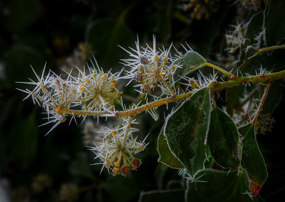 Photograph by Владимир Кваша