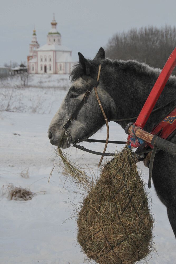 Фотография автора Наталия Козлова