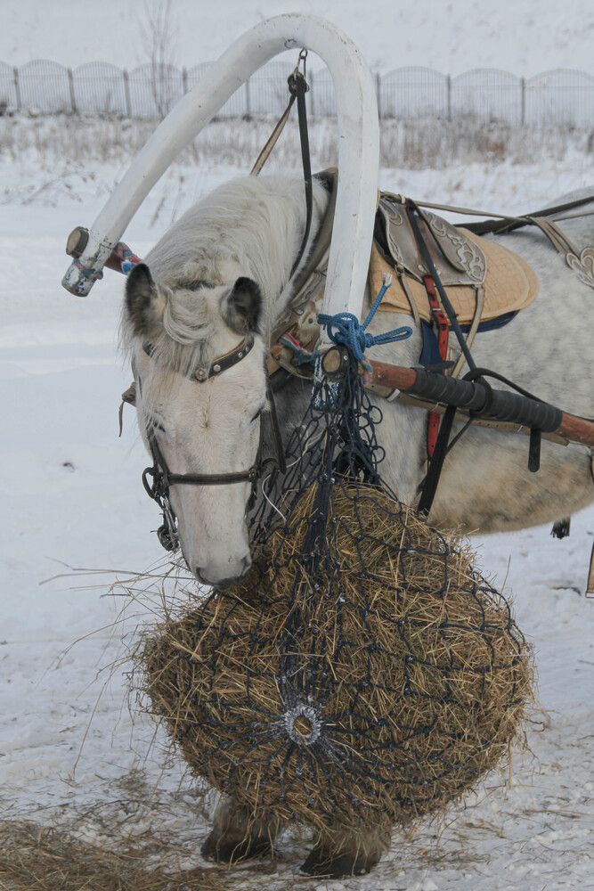 Фотография автора Наталия Козлова