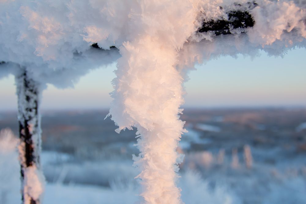 Фотография автора Анна Переверзева