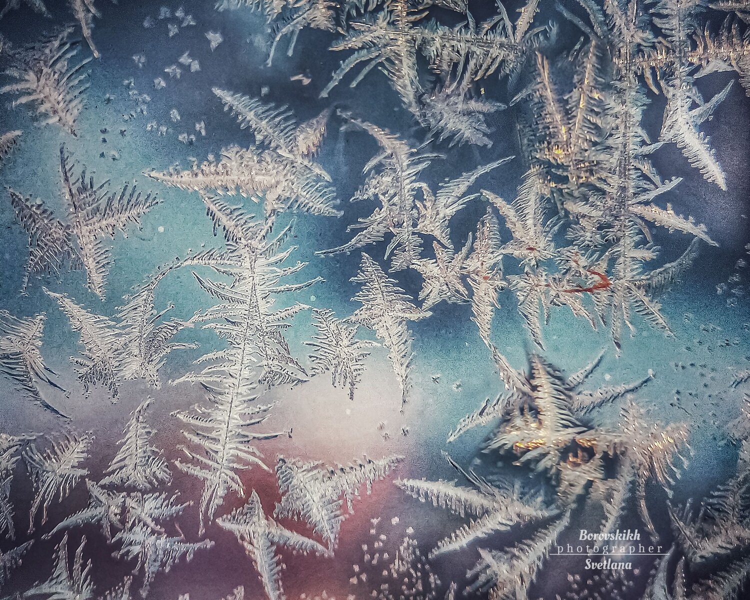 Хрустальные кружево зимы