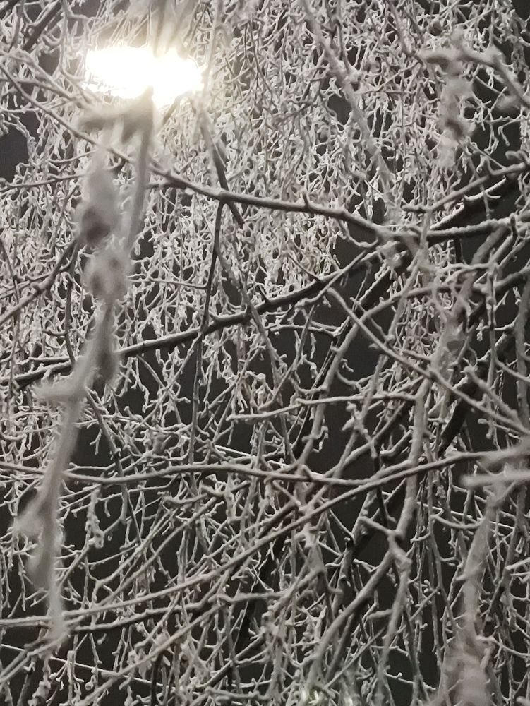 Photograph by Наталья Додонова