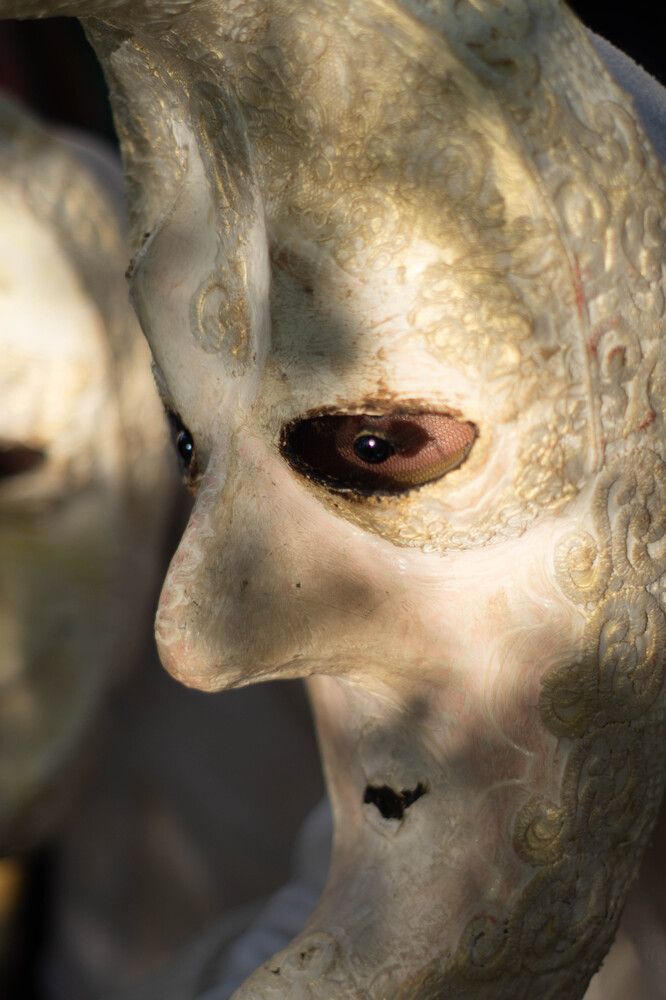 Фотография автора Евгений Шубин