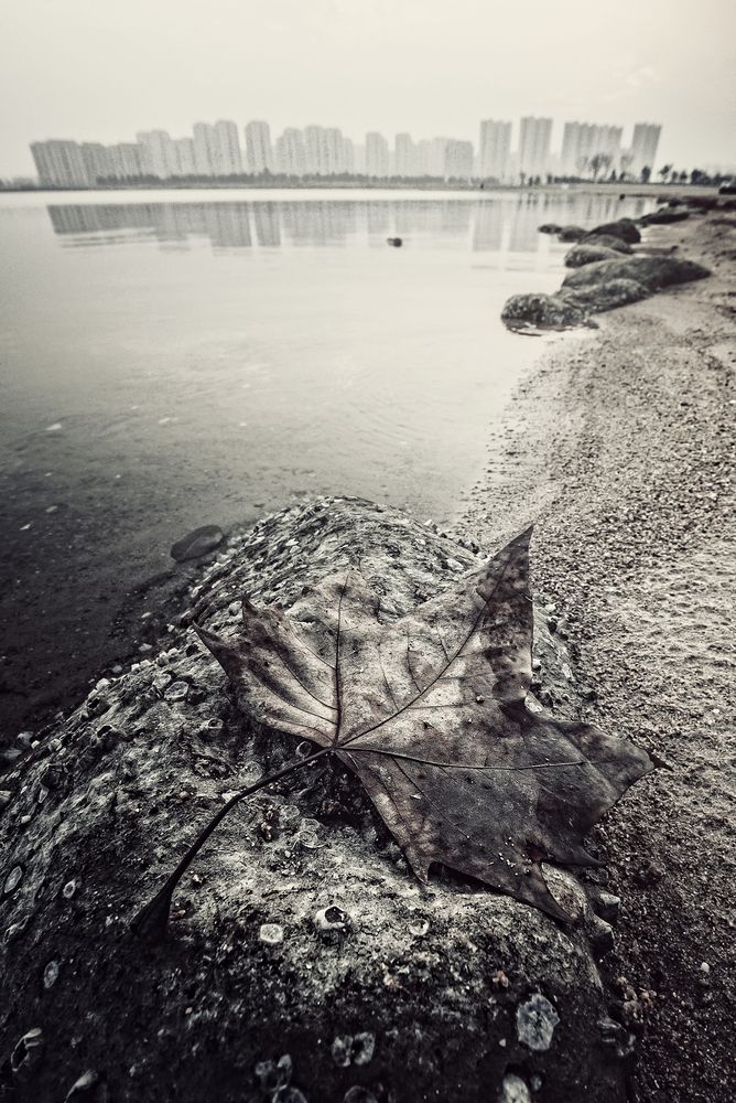Photograph by Николай Куницкий