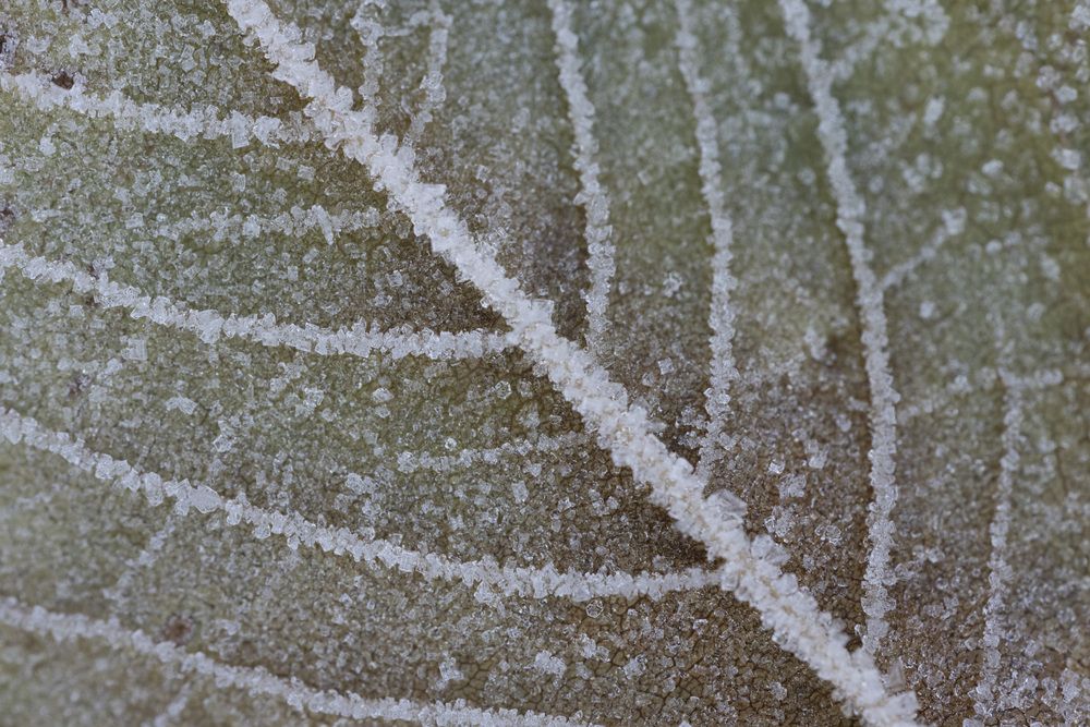 Photograph by Юлия Панова