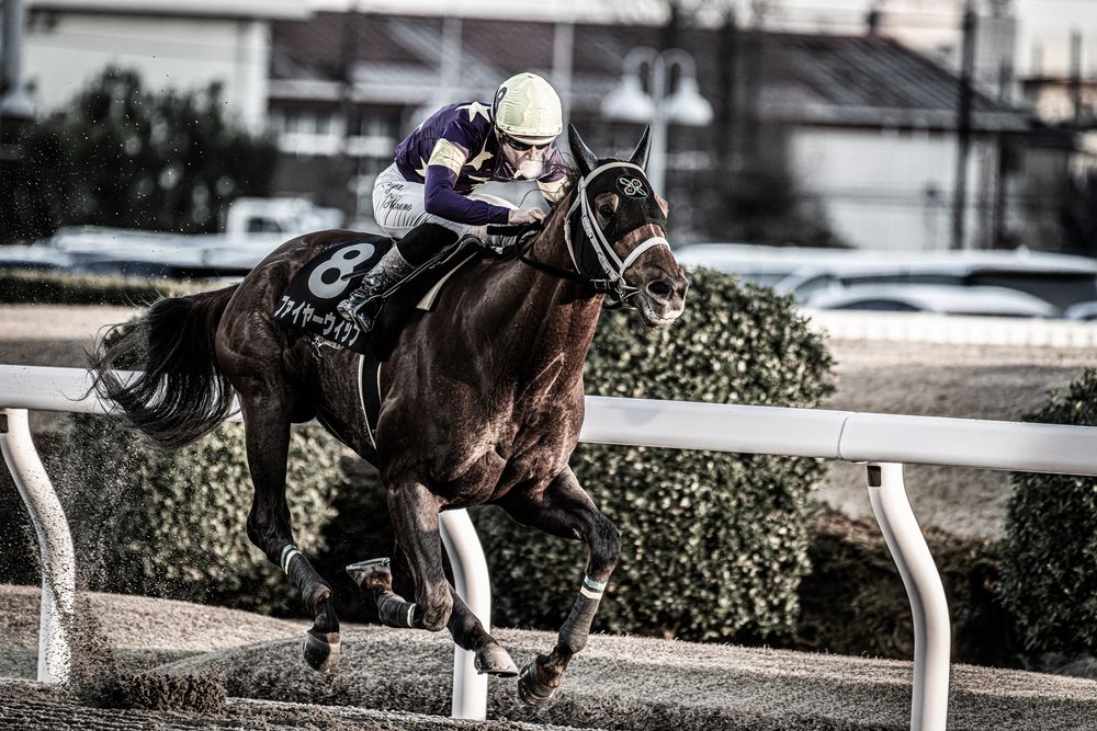 Фотография #13029298