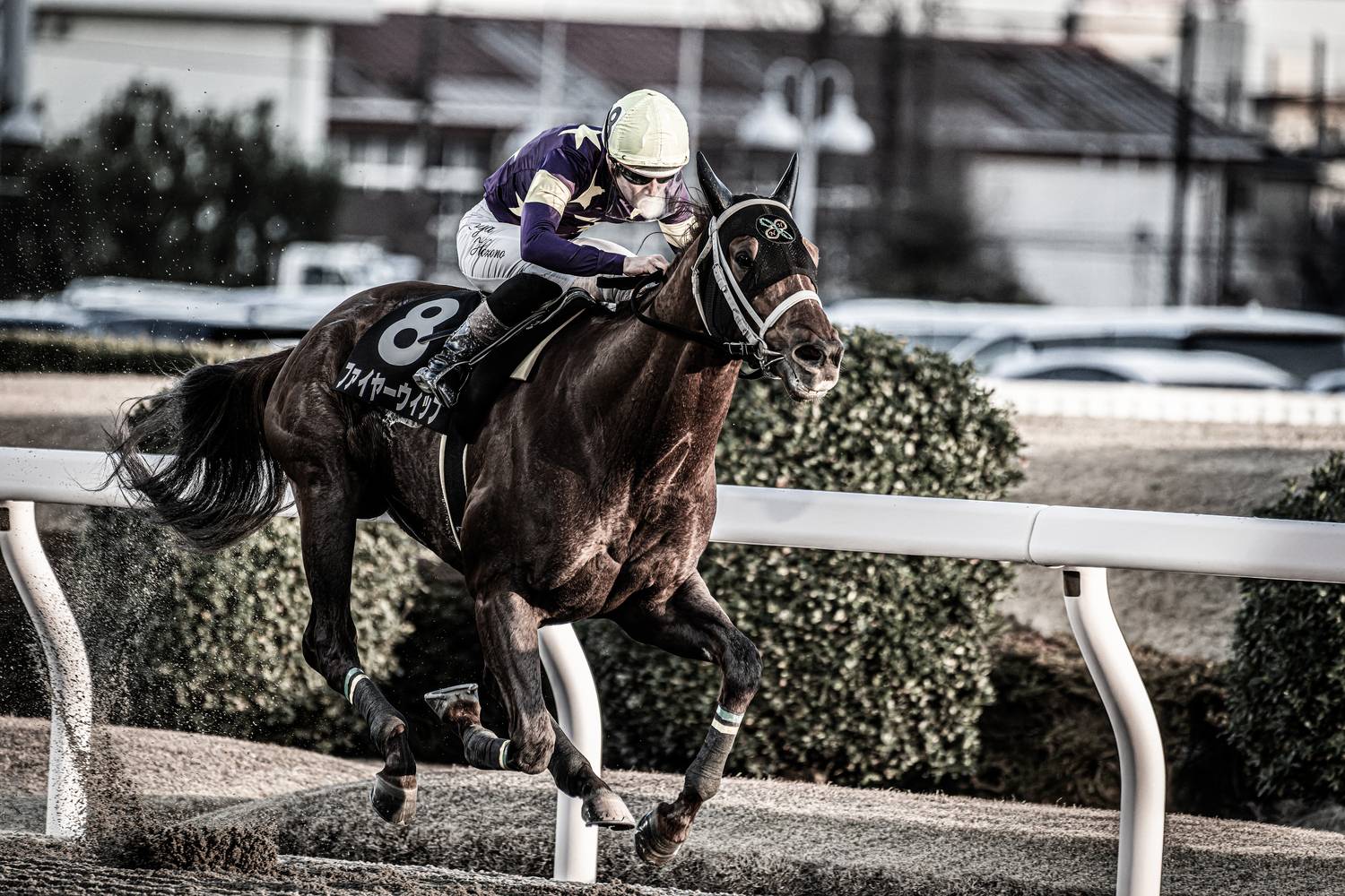 Фотография #13029298