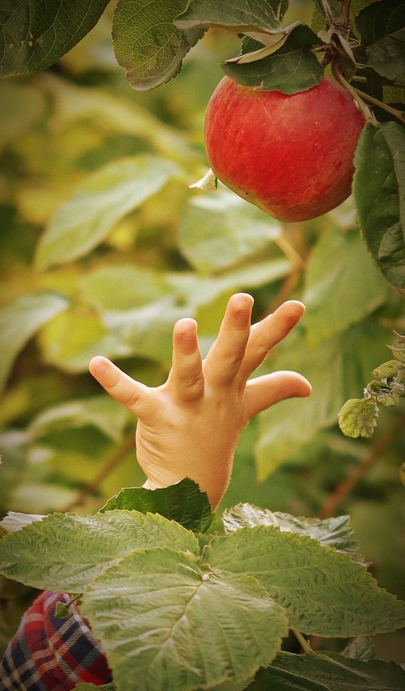 Photograph by Мария Толкачёва