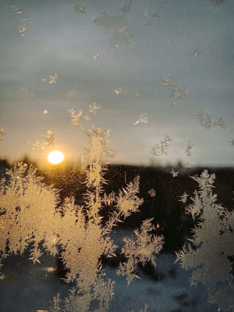 Photograph by Алена Алексеева