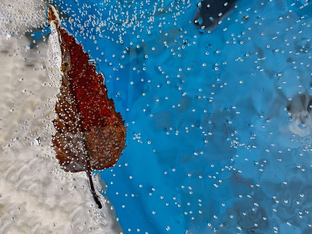 Photograph by Nunu Gambashidze