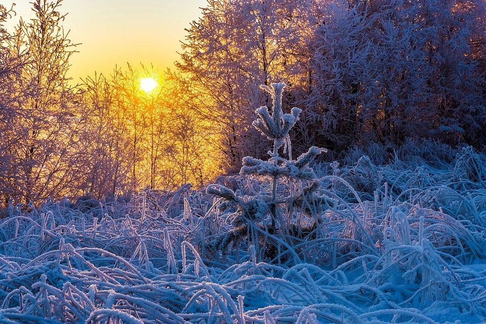 Морозный рассвет в Эжве.