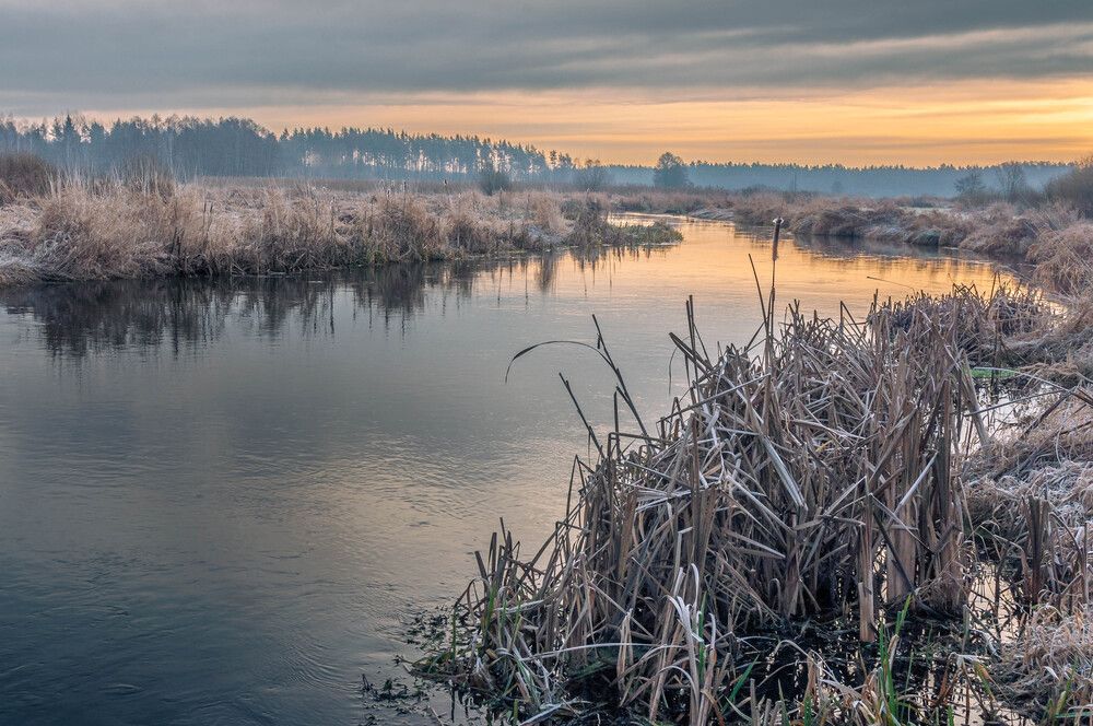 Photograph by Marcin Bochenek