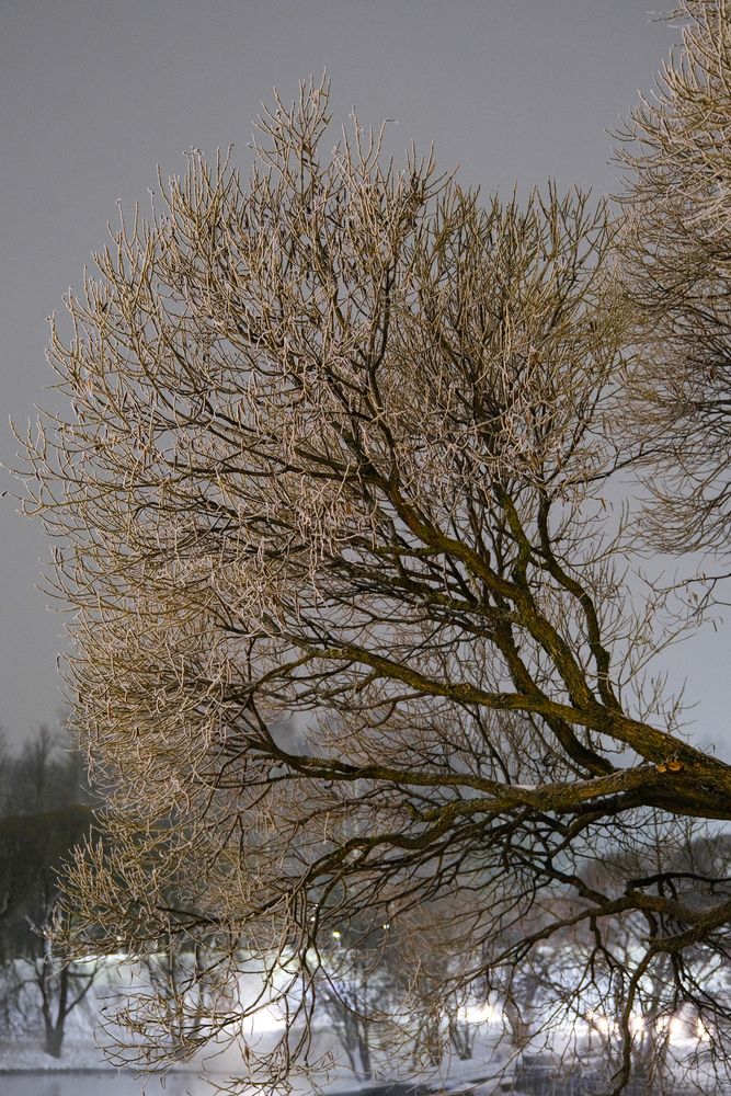 Photograph by Анатолий Вахрушев