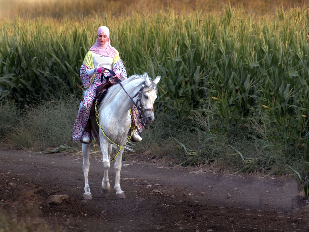 Photograph by Lev Tsenter