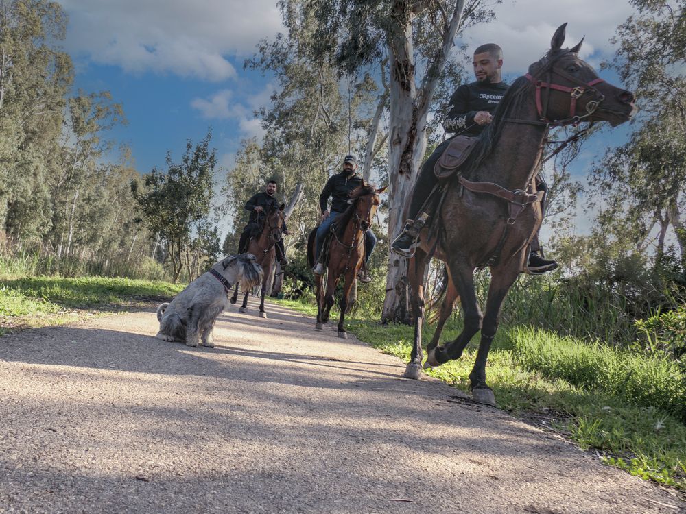 Photograph by Lev Tsenter