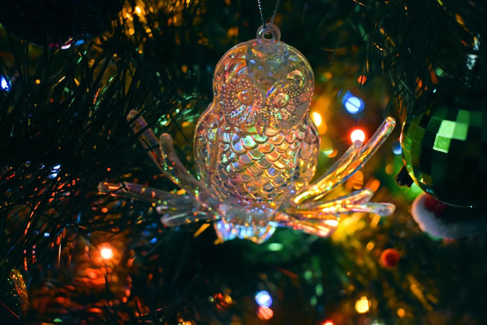 Фотография автора Катрин Евстратова