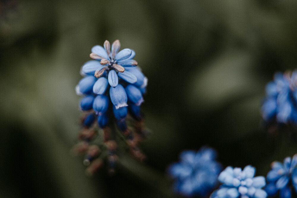 Photograph by Анна Вязьмина