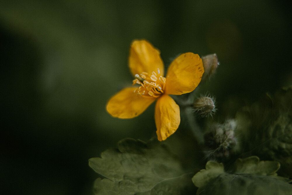 Photograph by Анна Вязьмина