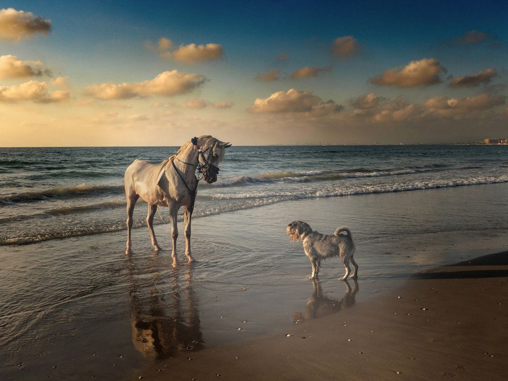 Photograph by Lev Tsenter