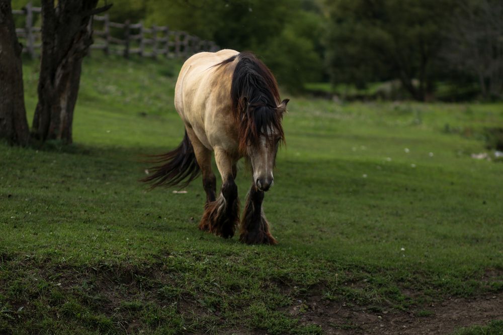 Photograph by Юлия Щетинина