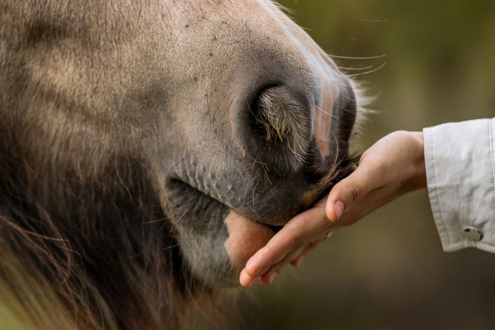Photograph by Юлия Щетинина