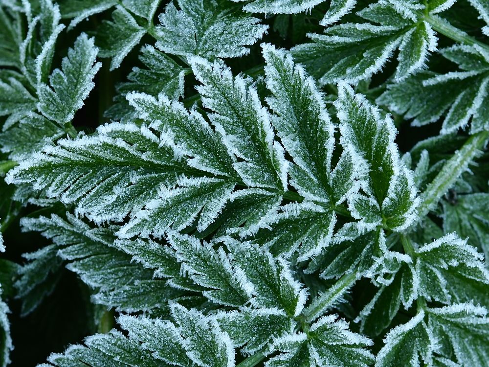 Photograph by Елена Харитонова