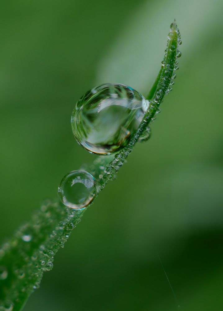 Photograph by Елена Харитонова