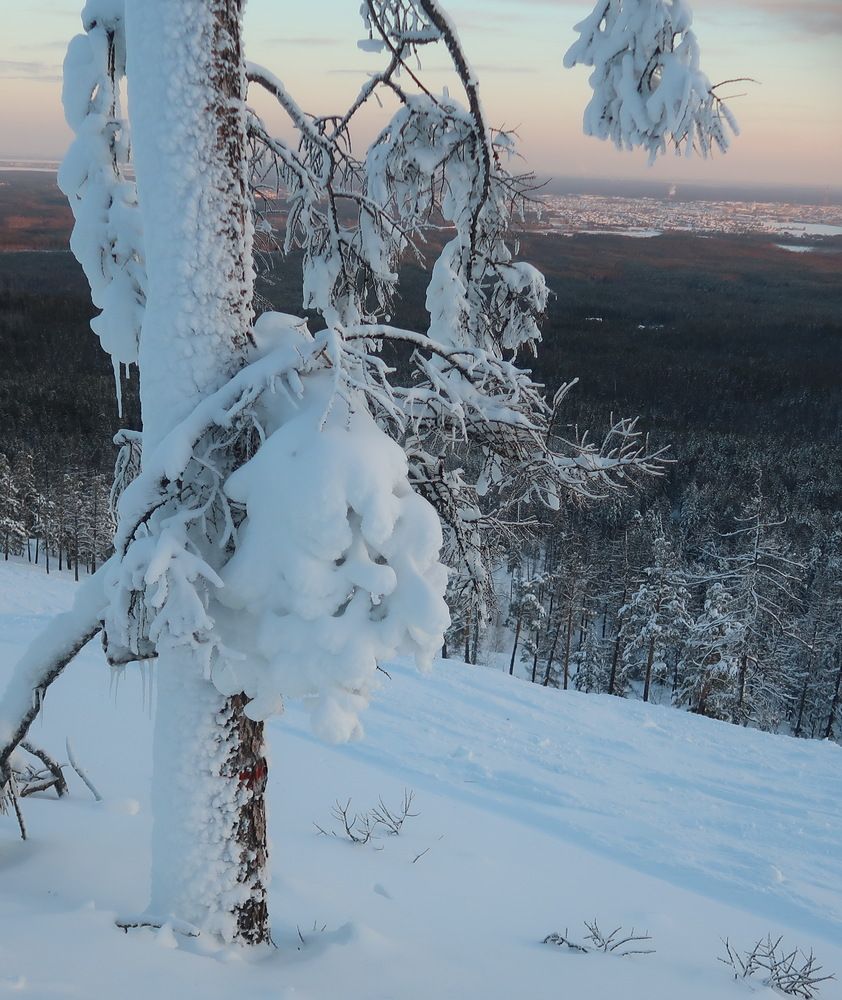 Photograph by Нина